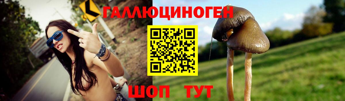 Галлюциногенные грибы Cubensis Карталы